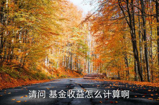 請(qǐng)問(wèn) 基金收益怎么計(jì)算啊