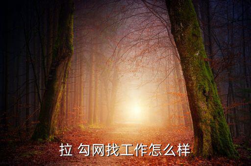 拉 勾網找工作怎么樣