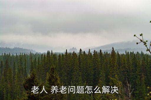 中國(guó)人今后怎么養(yǎng)老,中國(guó)將有上億老人需要解決養(yǎng)老問題