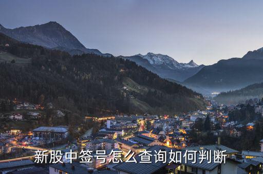 申購(gòu)配號(hào)怎么查,新股網(wǎng)上委托詢(xún)價(jià)配號(hào)如下