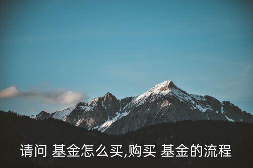 請(qǐng)問(wèn) 基金怎么買(mǎi),購(gòu)買(mǎi) 基金的流程