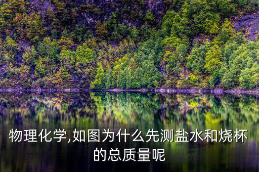 物理化學,如圖為什么先測鹽水和燒杯的總質量呢