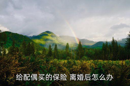 給配偶買(mǎi)的保險(xiǎn) 離婚后怎么辦