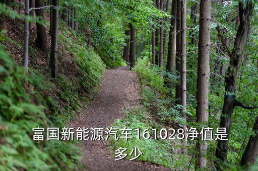  富國(guó)新能源汽車161028凈值是多少