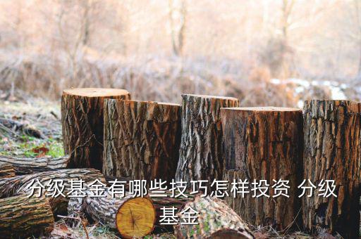 怎么買(mǎi)分級(jí)b,分級(jí)a基金的運(yùn)作方式
