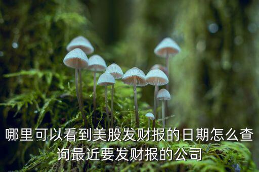 哪里可以看到美股發(fā)財(cái)報(bào)的日期怎么查詢(xún)最近要發(fā)財(cái)報(bào)的公司