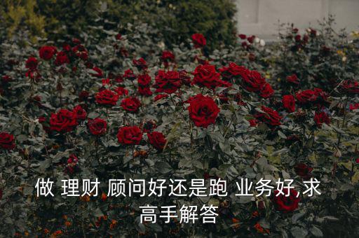 做 理財 顧問好還是跑 業(yè)務好,求高手解答