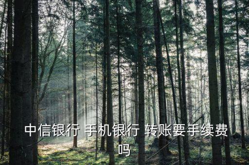  中信銀行 手機銀行 轉賬要手續(xù)費嗎