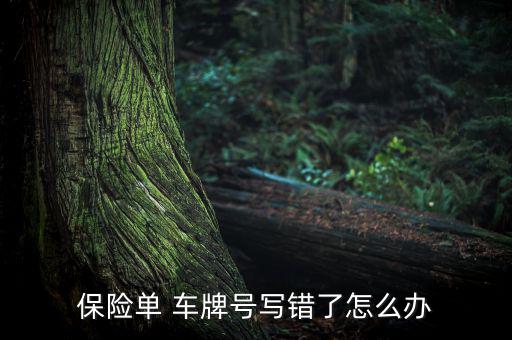 保險(xiǎn)車牌批改怎么辦理,買保險(xiǎn)可以換錯(cuò)車號嗎?
