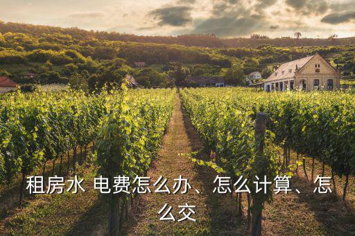  租房水 電費(fèi)怎么辦、怎么計(jì)算、怎么交