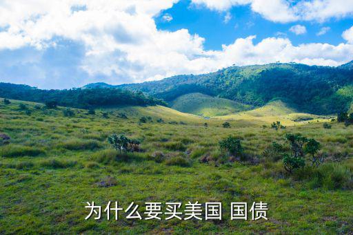 美國(guó)國(guó)債怎么購(gòu)買,國(guó)債是美國(guó)無底洞?