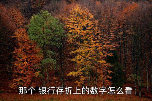 那個(gè) 銀行存折上的數(shù)字怎么看