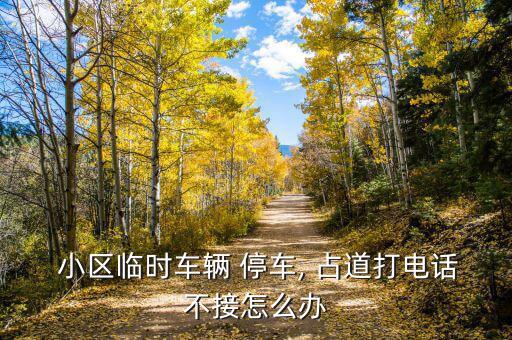  小區(qū)臨時(shí)車(chē)輛 停車(chē), 占道打電話(huà)不接怎么辦