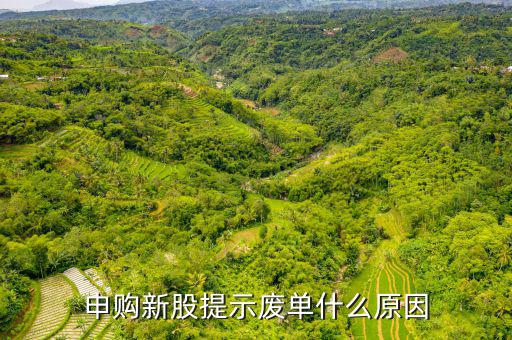 新股申購為什么是廢單，定價申購新股為什么總提示是廢單