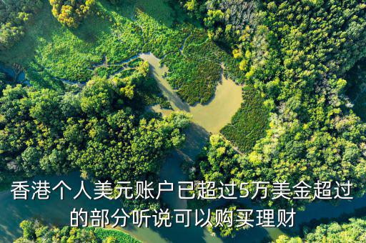 美元在香港投資什么比較好，香港個人美元賬戶已超過5萬美金超過的部分聽說可以購買理財