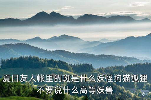 什么是棄風(fēng)限電，什么是理想非極化電極