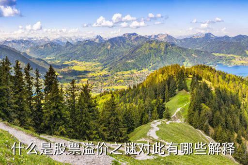 股票溢價是什么意思，什么是股票溢價之謎對此有哪些解釋