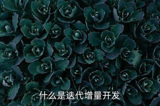 什么是增量發(fā)展，物理意義上的增量是什么意思