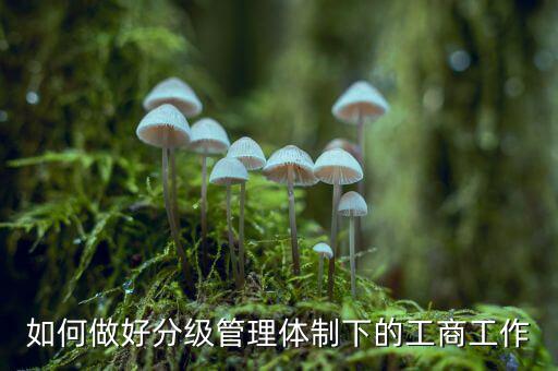 什么是分層分級(jí)管理，如何做好分級(jí)管理體制下的工商工作