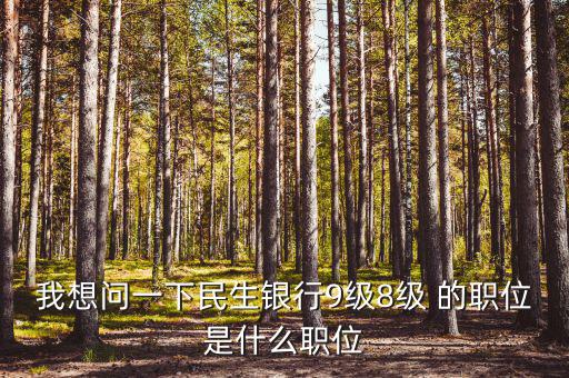 銀行評級8級是什么，銀行貸款評級