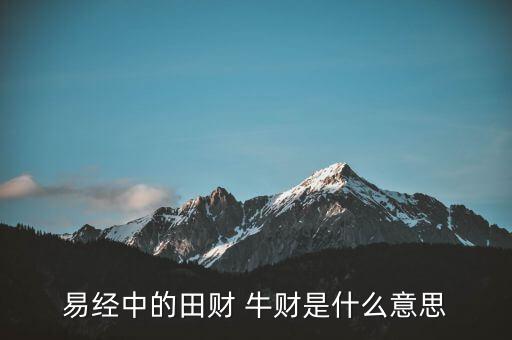 牛牛理財(cái)是什么意思，易經(jīng)中的田財(cái) 牛財(cái)是什么意思
