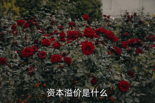 什么是溢價，什么是資本溢價