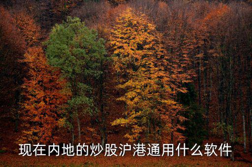 內(nèi)地炒港股用什么軟件，現(xiàn)在內(nèi)地的炒股滬港通用什么軟件