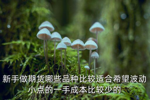 兩萬能做期貨什么品種，我用兩萬做商品期貨