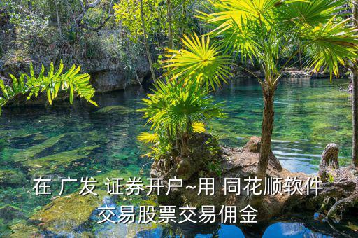 在 廣發(fā) 證券開(kāi)戶~用 同花順軟件交易股票交易傭金