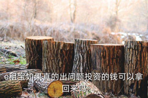 e租寶注冊有什么風險，朋友讓我給他注冊個e租包賬號安全嗎