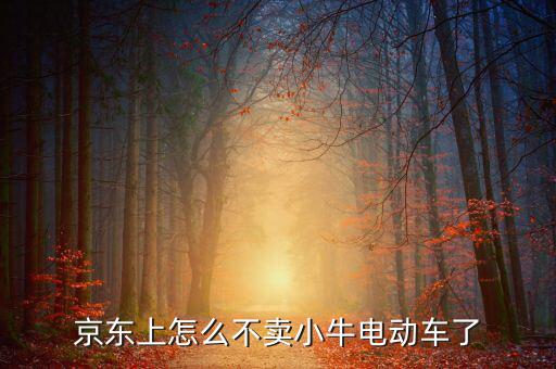 京東什么時候開放小牛，京東上怎么不賣小牛電動車了