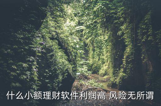 什么小額理財(cái)最安全，什么小額理財(cái)軟件利潤高 風(fēng)險(xiǎn)無所謂