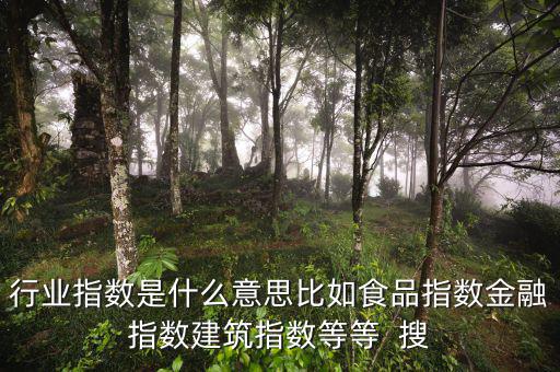 申萬(wàn)行業(yè)指數(shù)是什么，申萬(wàn)證券行業(yè)指數(shù)分級(jí)是什么指數(shù)基金嗎