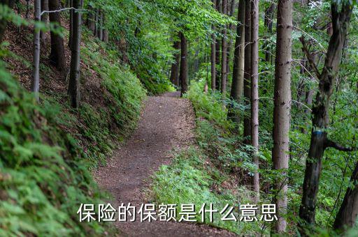 保險(xiǎn)保額是什么意思，保險(xiǎn)里的保額是啥意思