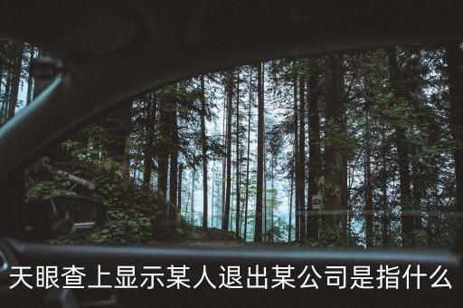 什么是退出類平臺(tái)公司，天眼查上顯示某人退出某公司是指什么