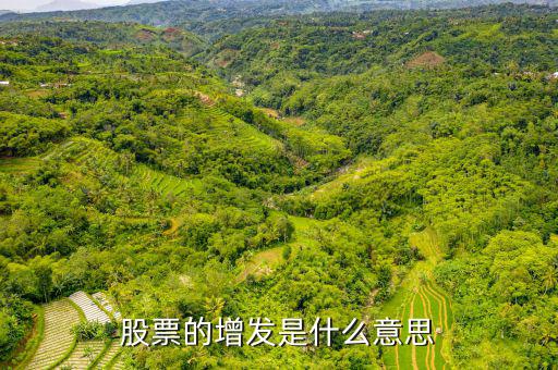 股票增發(fā)是什么意思，股票增發(fā)是什么意思