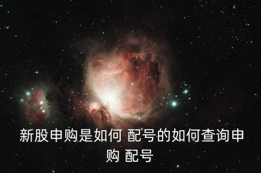 手機(jī)軟件上怎么看新股配號(hào),新股咨詢(xún)服務(wù)從何而來(lái)?