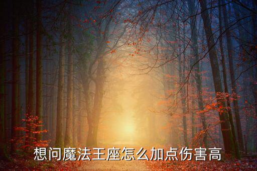 想問(wèn)魔法王座怎么加點(diǎn)傷害高