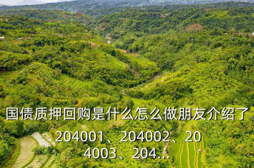 國債質押回購是什么怎么做朋友介紹了 204001、204002、204003、204...