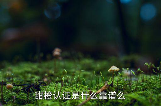 甜橙金融公司是什么，便捷的網(wǎng)貸理財企業(yè)是什么