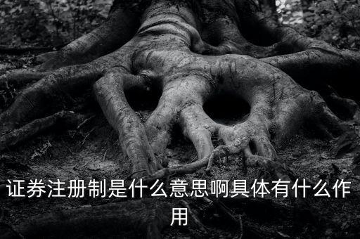 證券注冊制什么意思，證券注冊制是什么意思啊具體有什么作用
