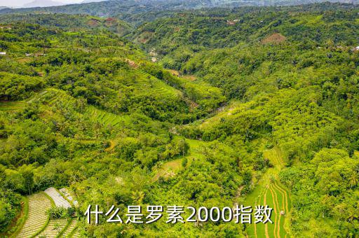 平安羅素是什么，平安epass是什么東西