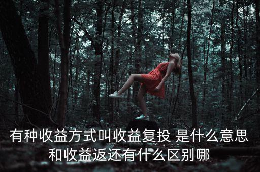 按月復投是什么意思，本息復投是什么意思