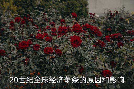 20世紀全球經濟蕭條的原因和影響