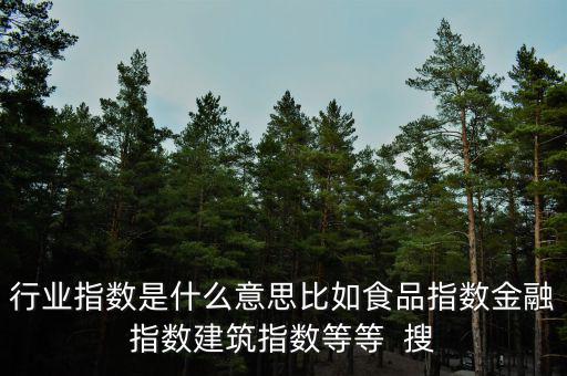 行業(yè)指數是什么意思比如食品指數金融指數建筑指數等等  搜