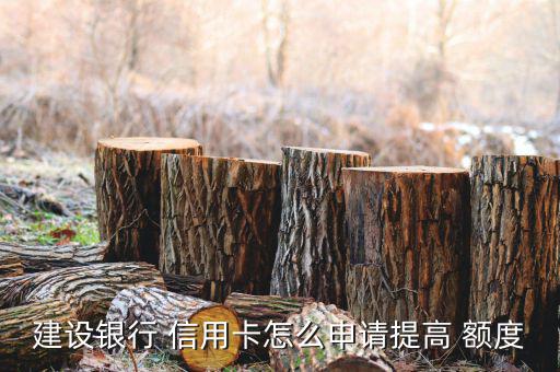 建設銀行 信用卡怎么申請?zhí)岣?額度