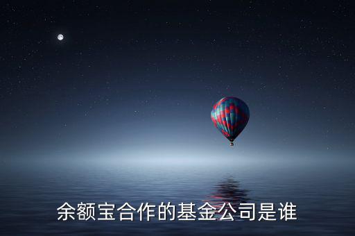 余額寶投資過什么公司，余額寶合作的基金公司是誰