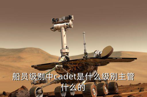 中船總經(jīng)理什么級別，中國船舶總公司總經(jīng)理啥級別