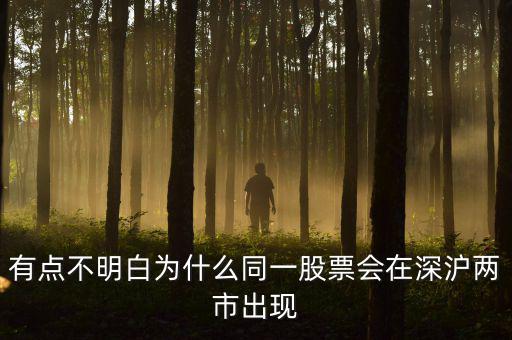 有點(diǎn)不明白為什么同一股票會在深滬兩市出現(xiàn)