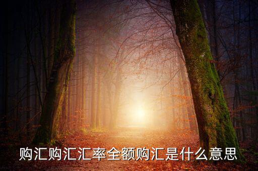 全額匯購(gòu)是什么意思，什么叫全額結(jié)匯